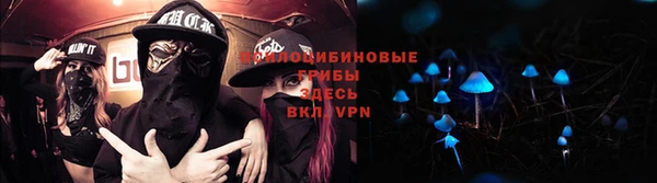 тгк Абинск