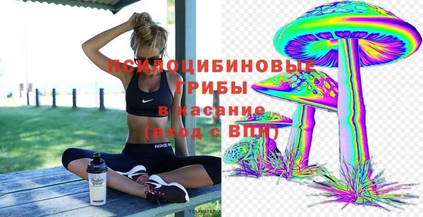 тгк Абинск